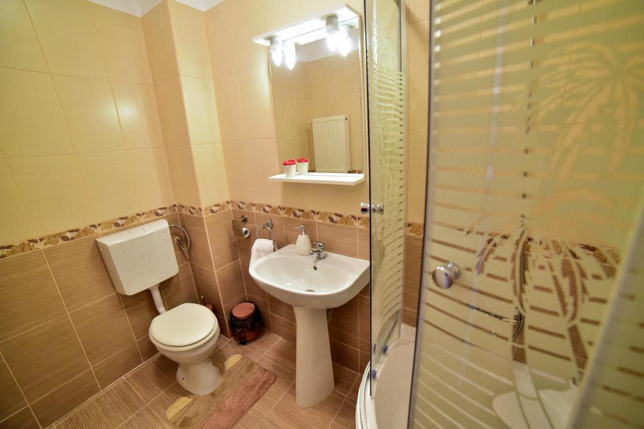 Flh - Apartament Central Silva Сібіу Екстер'єр фото