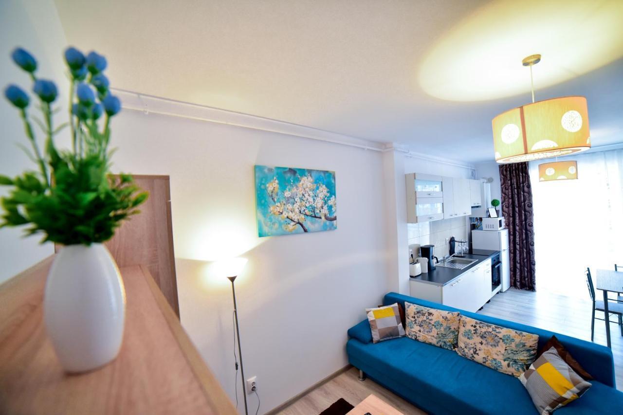 Flh - Apartament Central Silva Сібіу Екстер'єр фото